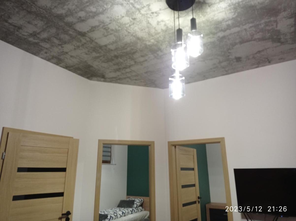 Loft Park Zator, Lokalizacja Przy Wej Parku Vila Exterior foto